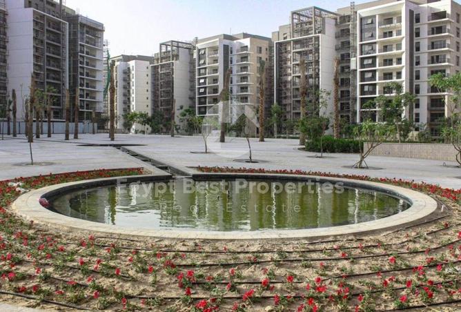 8426254 - Property Image 3