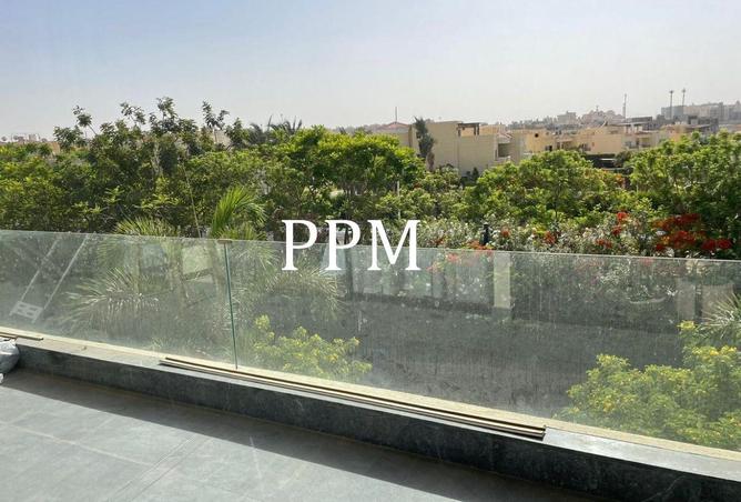 62646196 - Property Image 3