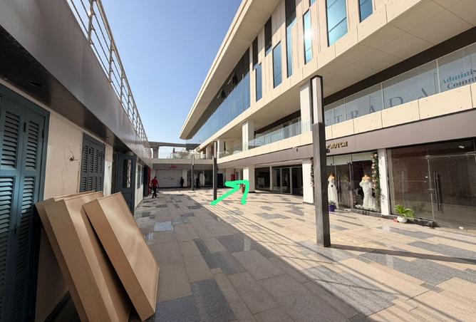 101779962 - صورة العقار 2