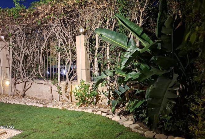 67994313 - Property Image 3