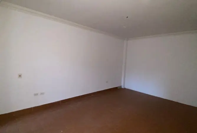 114900822 - Property Image 2