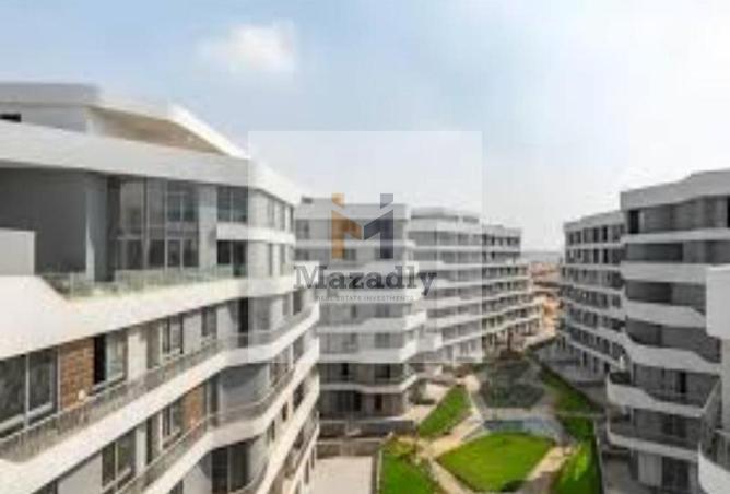 56376705 - Property Image 3