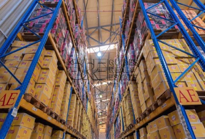 55998065 - صورة العقار 3