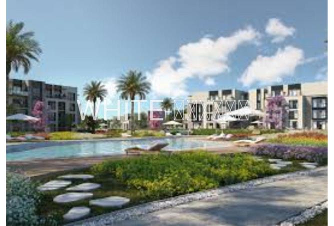 69573848 - Property Image 3