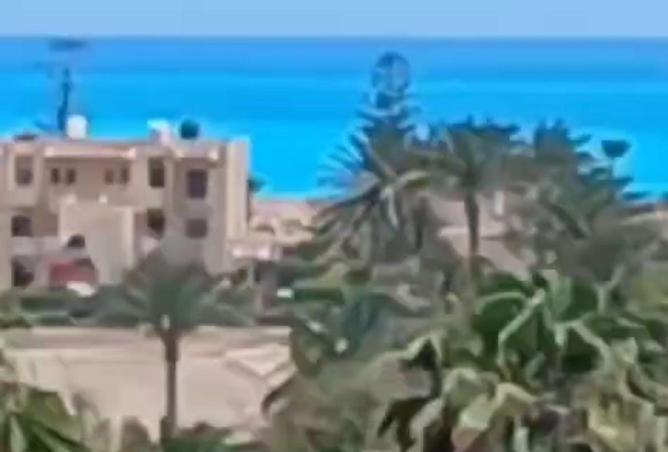 8568863 - صورة العقار 2