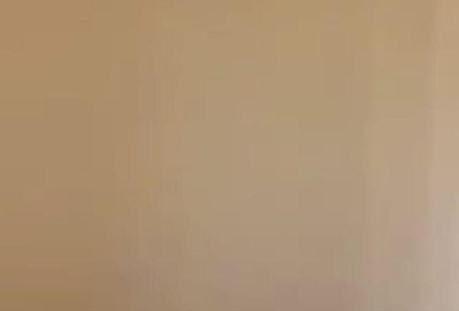 81316780 - صورة العقار 3