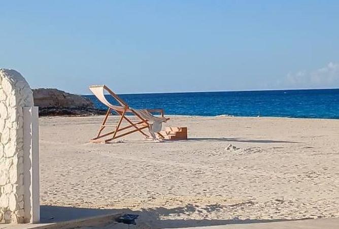 70091887 - صورة العقار 3