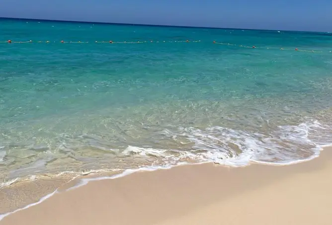 82872693 - صورة العقار 3