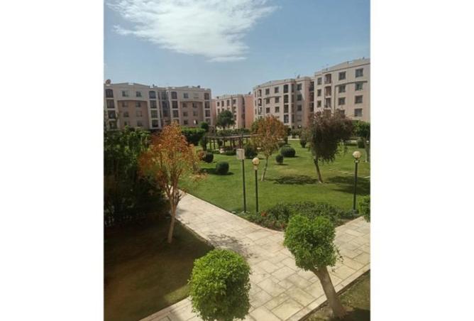 71650443 - الصورة الرئيسية للعقار