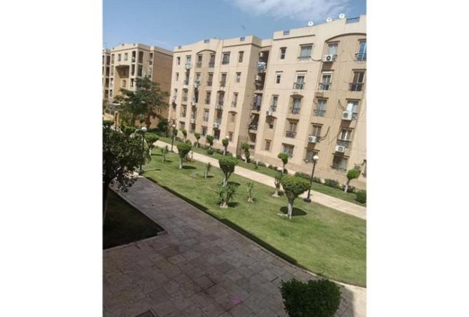 71650443 - صورة العقار 3