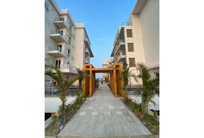 55997024 - صورة العقار 3