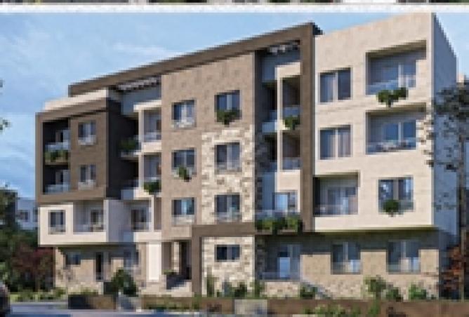 8424275 - Property Image 2