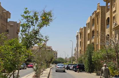 Apartment - 2 Bedrooms - 1 Bathroom for sale in Al Gezira St. - South Investors Area - New Cairo City - Cairo