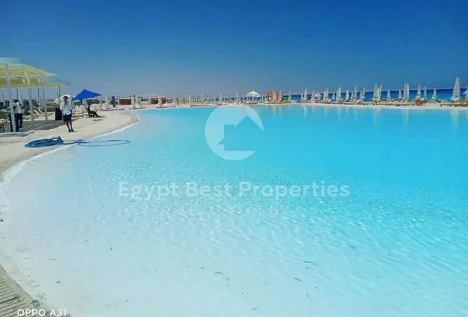 121151449 - Property Image 3
