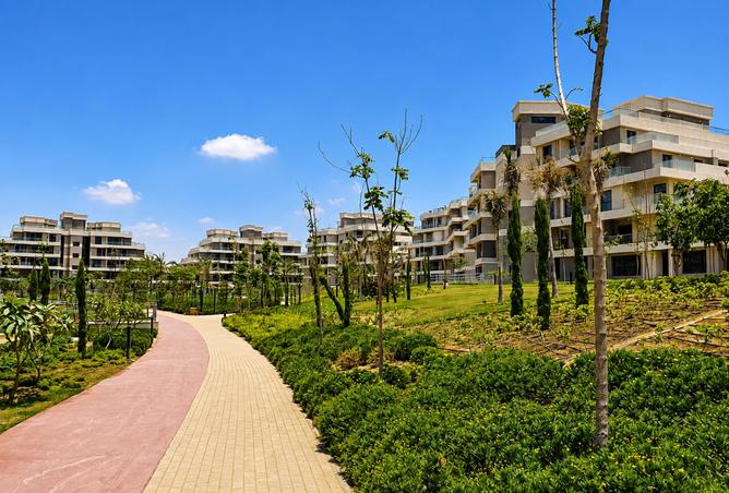 97723827 - صورة العقار 3