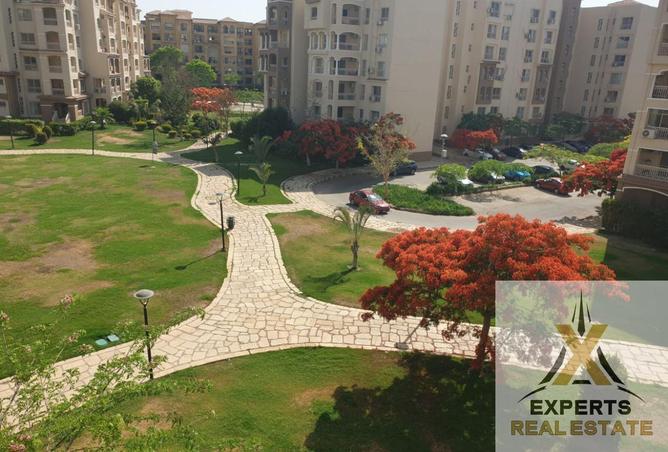 81839206 - صورة العقار 3