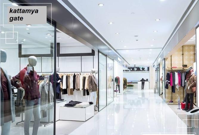 54746600 - Property Image 2