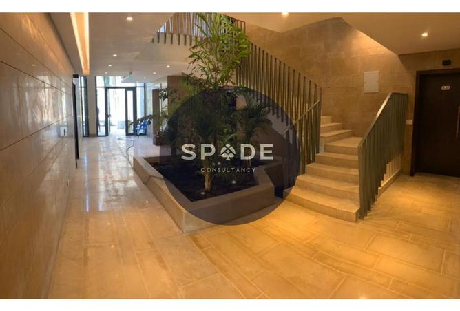 66168611 - Property Image 2