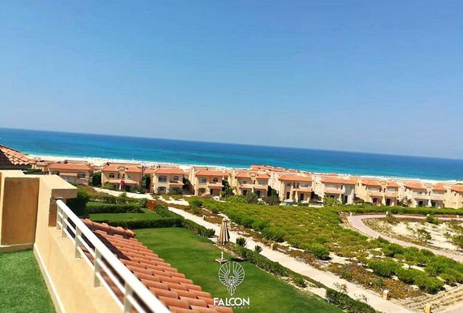 101490610 - صورة العقار 3
