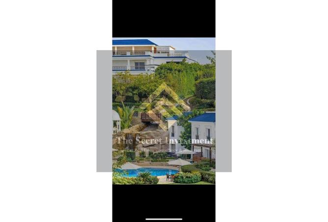 56493248 - Property Image 3