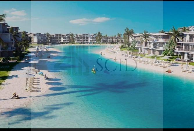 102079884 - Property Image 2