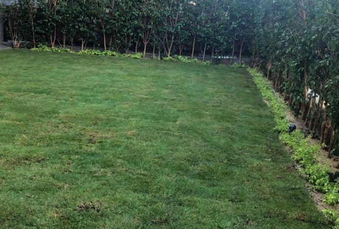 66694458 - صورة العقار 3