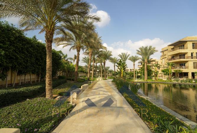 98550498 - Property Image 3