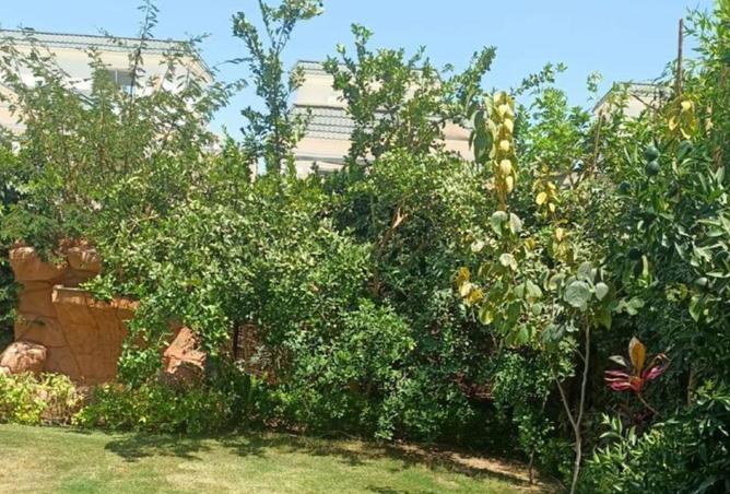 58000588 - صورة العقار 2