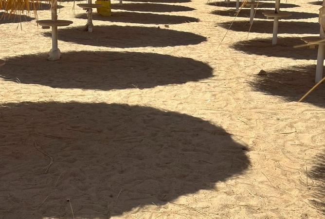 108508774 - صورة العقار 2