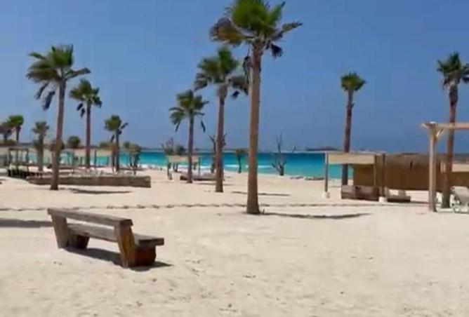 58995783 - Property Image 3