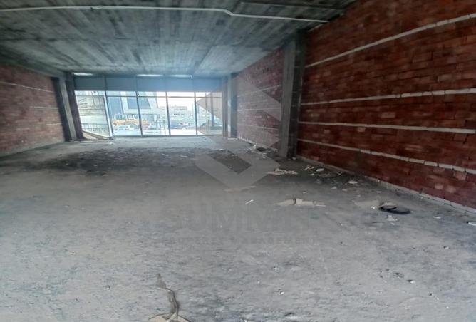 100642326 - Property Image 3