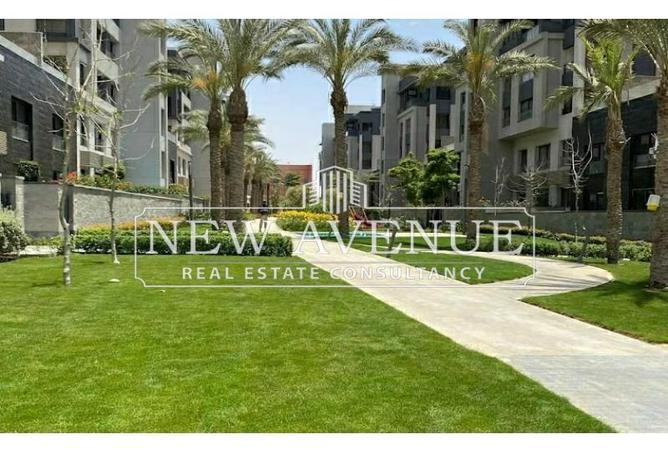 8696527 - Property Image 2