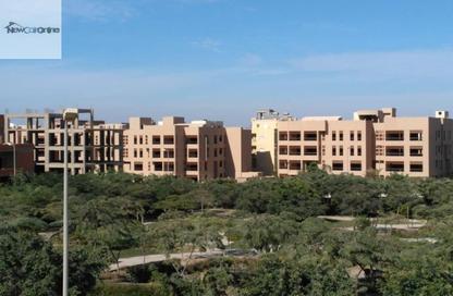 شقة - 3 غرف نوم - 3 حمامات للايجار في حى اسكان الجامعه الامريكية - كمبوندات التجمع الخامس - التجمع الخامس - مدينة القاهرة الجديدة - القاهرة شقة - 3 غرف نوم - 3 حمامات للايجار في حى اسكان الجامعه الامريكية - كمبوندات التجمع الخامس - التجمع الخامس - مدينة القاهرة الجديدة - القاهرة
