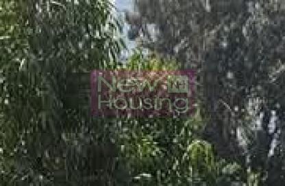 Apartment - 4 Bedrooms - 4 Bathrooms for sale in Zamalek - Cairo