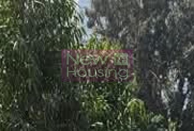 57736515 - صورة العقار 3