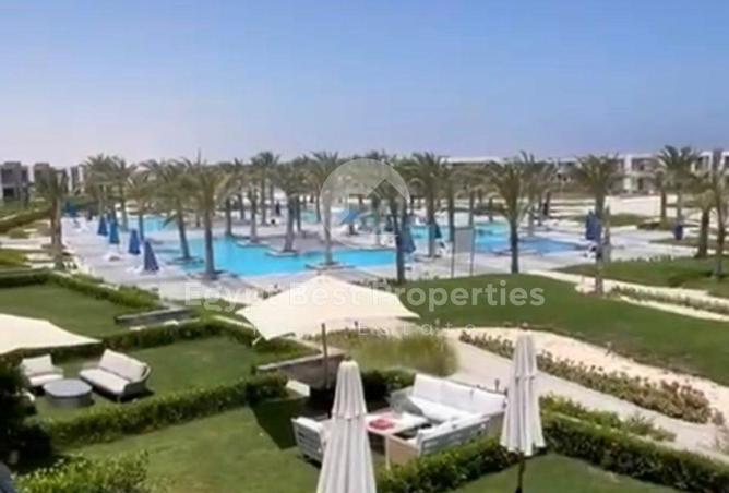 63131203 - Property Image 3