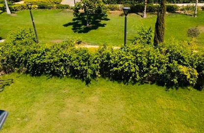Villa - 3 Bedrooms - 3 Bathrooms for sale in Madinaty - Cairo Villa - 3 Bedrooms - 3 Bathrooms for sale in Madinaty - Cairo
