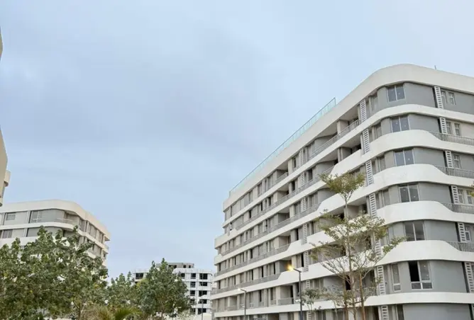 114629292 - Property Image 2