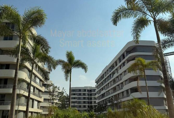 8706107 - صورة العقار 3