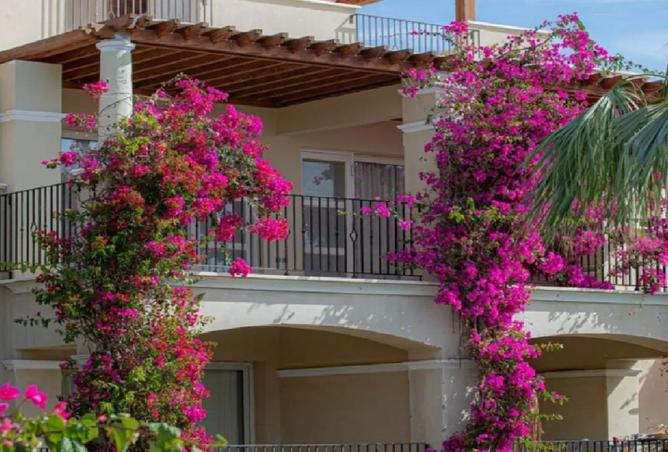 56243369 - Property Image 2