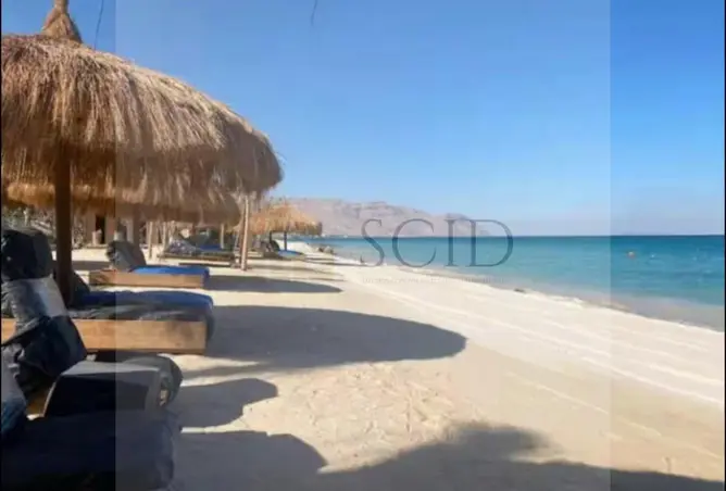 109927370 - صورة العقار 3