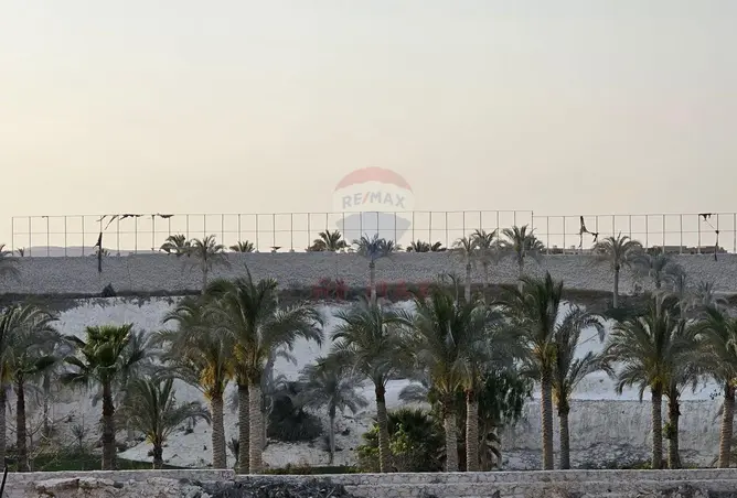 113254213 - صورة العقار 2