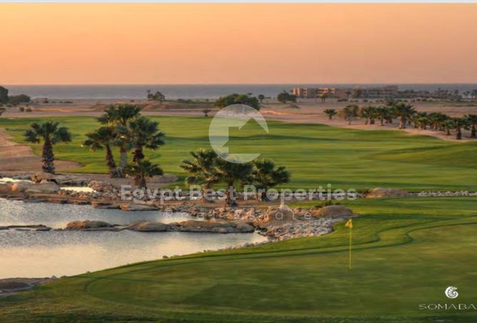 8592518 - Property Image 2