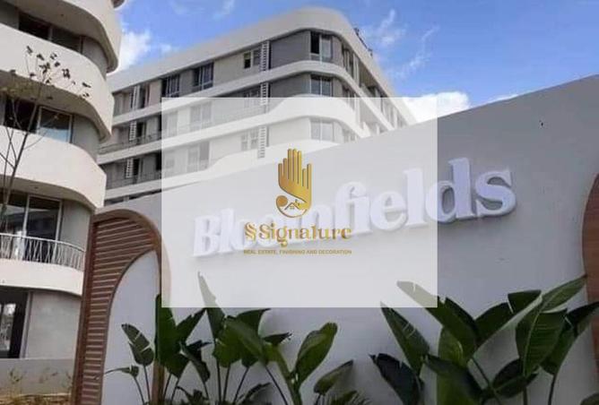 65162396 - الصورة الرئيسية للعقار