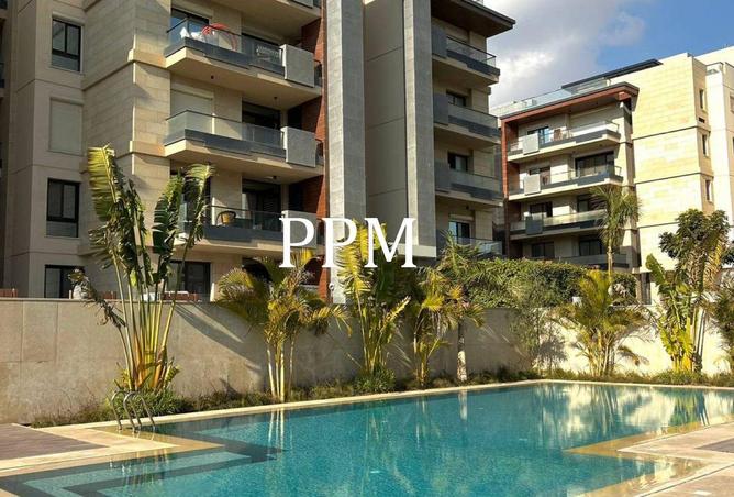 8717807 - Property Image 3