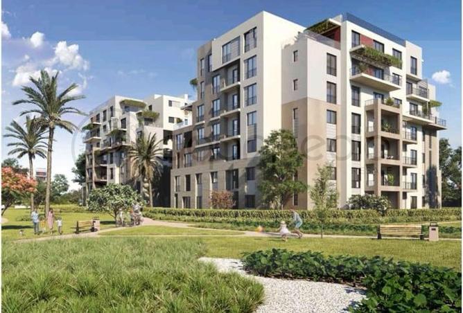 55629268 - Property Main Image