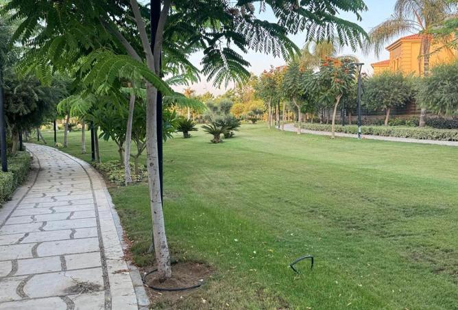 94927369 - صورة العقار 3