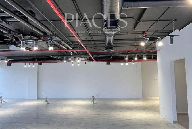 55501526 - Property Image 3