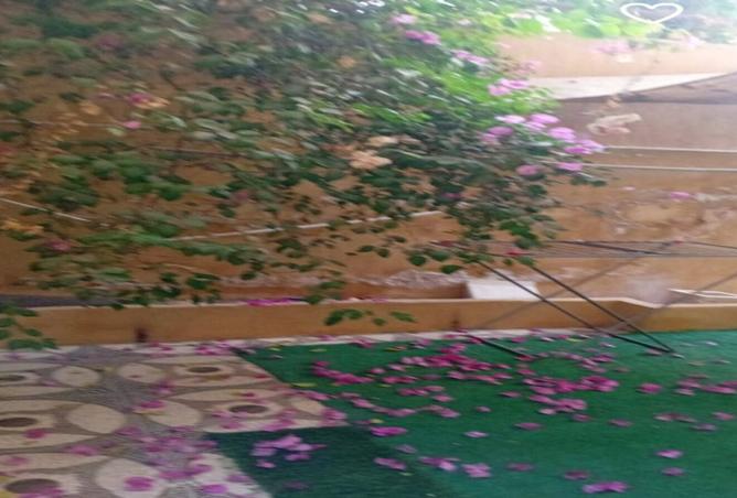 8336041 - الصورة الرئيسية للعقار