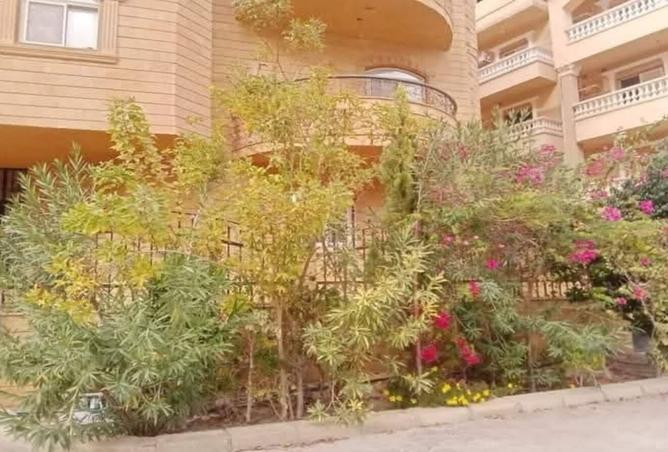 8336041 - صورة العقار 2